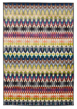 Boho Modern Multi Rug