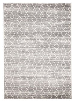 Remy Silver Transitional Rug